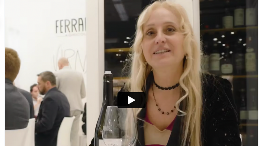 Cantina Virna Borgogno - Focus Langhe Bianco "Sto Fuori"
